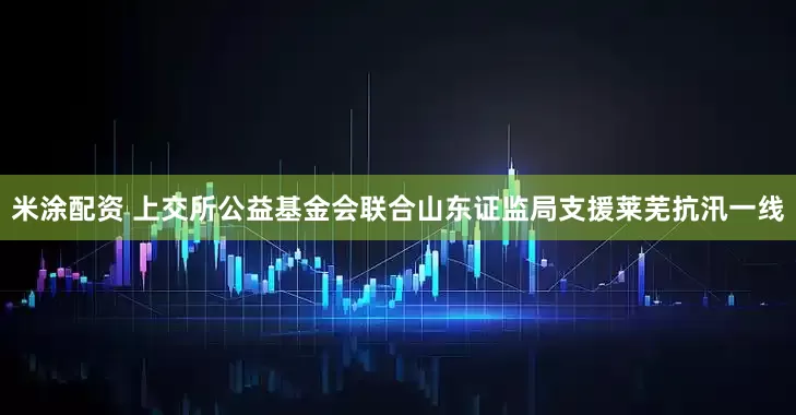米涂配资 上交所公益基金会联合山东证监局支援莱芜抗汛一线