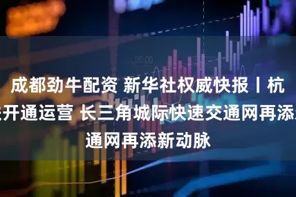 成都劲牛配资 新华社权威快报丨杭衢高铁开通运营 长三角城际快速交通网再添新动脉